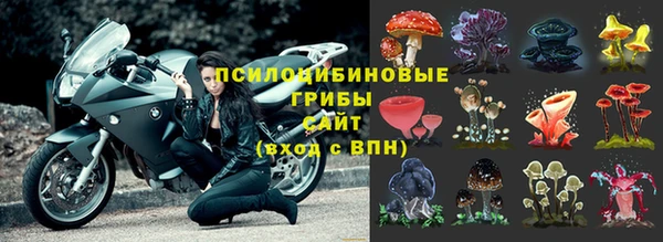соль курить ск Алзамай