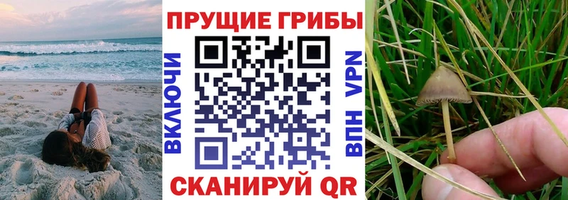 Псилоцибиновые грибы ЛСД Фатеж